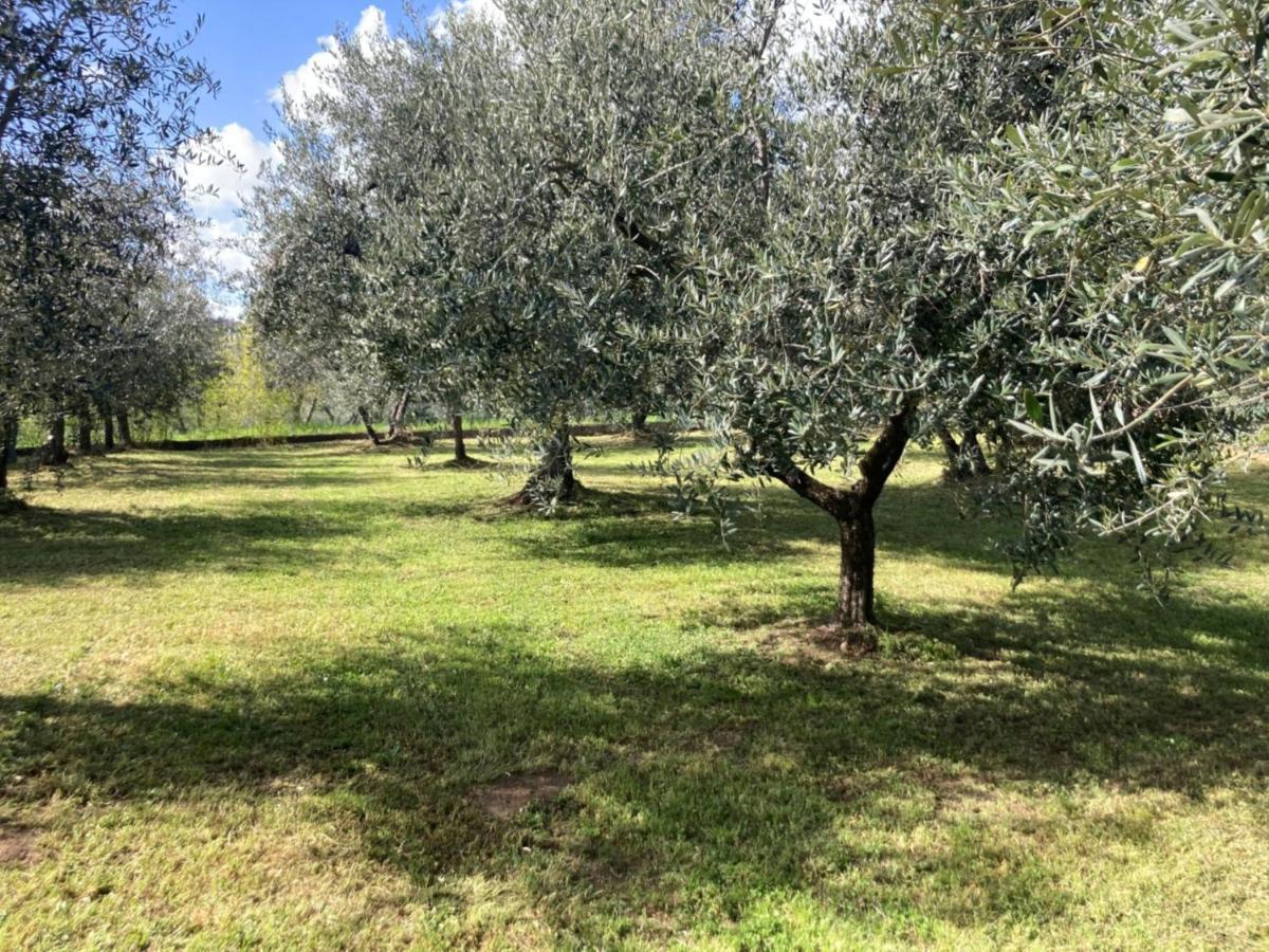 Villa Toscana Loro Ciuffenna Exteriér fotografie